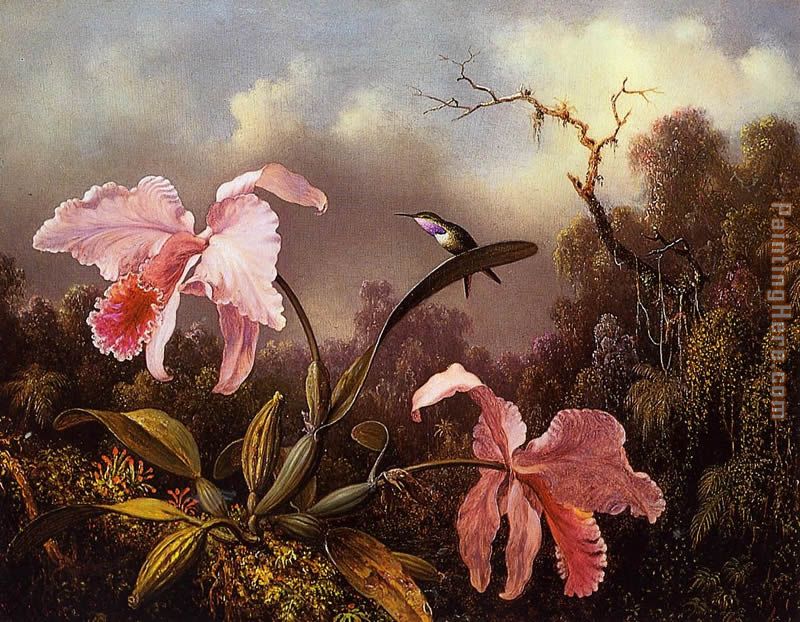 Orchids and Hummingbird  2 painting - Martin Johnson Heade Orchids and Hummingbird  2 art painting